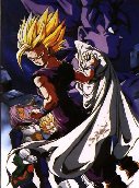 dbzgr2.jpg